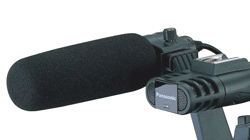xternal Mono Gun & internal Stereo microphones on a Semi-pro camera